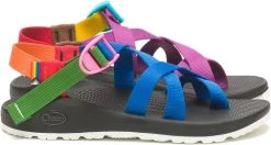 Chaco Z/2 Classic Pride Sandals - Women's -Chic Feet Boutique 2071450004