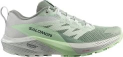 Salomon Sense Ride 5 Trail-Running Shoes - Women's -Chic Feet Boutique 2183440048