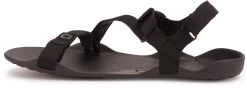 Xero Shoes Z-Trek Sandals - Women's -Chic Feet Boutique 6292bfac 6184 4e32 801c f58c8cd9fa0c
