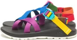 Chaco Z/2 Classic Pride Sandals - Women's -Chic Feet Boutique cb7146b6 cd24 4f74 9354 a2db1fd760c4